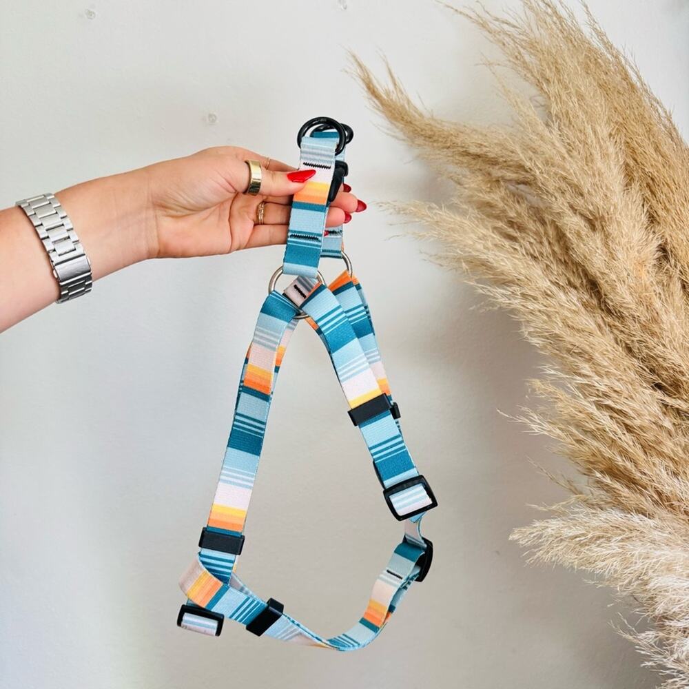 LEEDS Doheny White Blue Stripe Dog Leash Buckle Collar Step Harness $135 Set - Picture 3 of 16